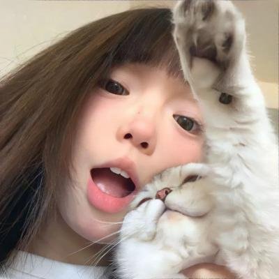 森林里的熊先生