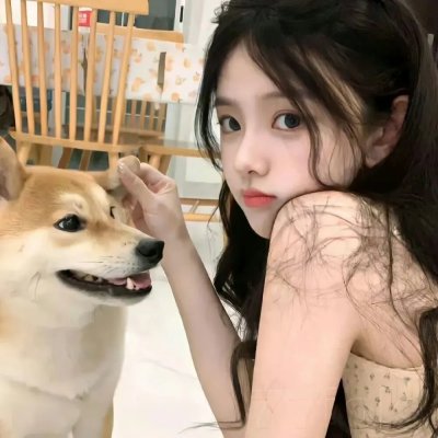 睡莲